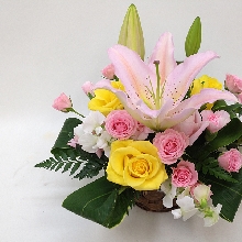 アレンジメント　即日出荷対応！【ar24-042103】