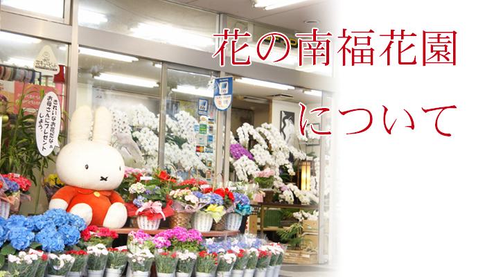 花の南福花園を運営する株式会社南福花園の会社案内や実店舗の情報などを掲載しています。