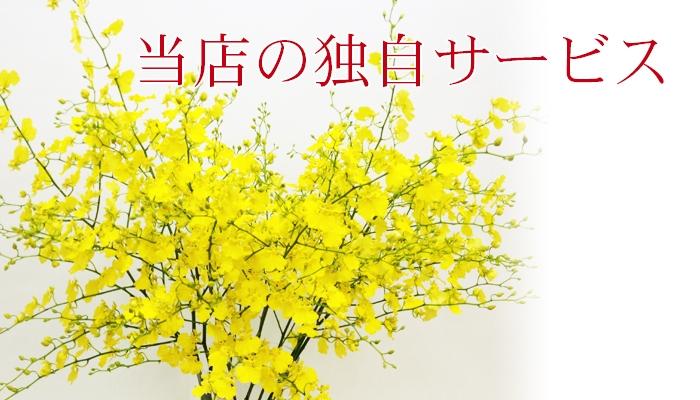 他の花屋さんとは違う花の南福花園の独自のサービスを掲載しております。