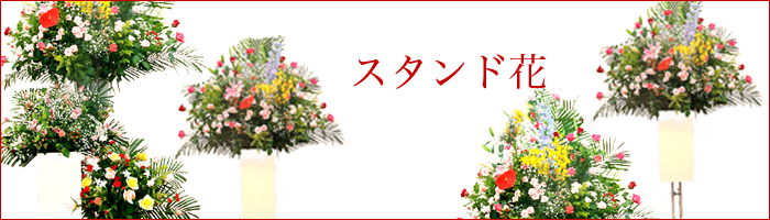 大迫力のスタンド花は、開店祝い等に人気です。当店配達範囲は当日お届けも可能です。